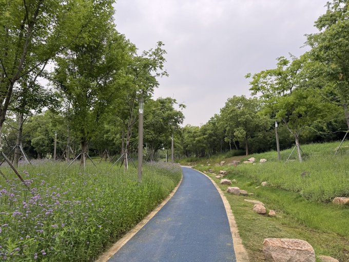 The image shows a blue path surrounded by trees, grass, and rocks. The path appears to be a small trail or a walkway through nature. In the background, there are some purple flowers that add color to the scene. The caption on the image reads "朝ラン出張最終日 出張中、毎日たくさん呑み食いしたのでカラダが重い スキップ". This post seems to be about a walkway or trail in the woods, possibly suggesting that it is a popular spot for outdoor activities.