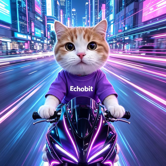 A digital illustration of an orange and white cat wearing a purple 'Echobit' t-shirt, riding a futuristic motorcycle through a neon-lit cyberpunk cityscape.