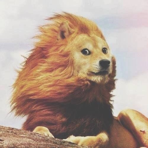 A Shiba Inu dog with an elaborate, flowing golden mane resembling a lion's mane, resting on a log.
