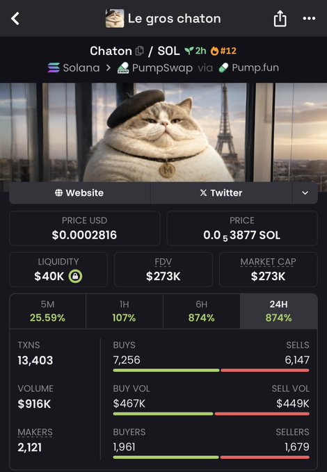 The image features a screenshot of a messaging app, where an important conversation related to cryptocurrency news has taken place. The main person in the image is identified as Le Gros Chaton from a private chat group called "Solanamemecoin #solana". This individual is a bot that is actively tweeting about cryptocurrency gains on Twitter.

The message that has been retweeted is titled: "16.6x gain on my call $CHATON Call on private telegram group 5WrhAdqrtaBqzjoPEQ4bVkukQGCmR9mrcKeeifCKpump". The post highlights the success of an initial coin offering (ICO) with a substantial market capitalization. Other followers can be seen in the chat, expressing their interest and excitement about this new development.

The key takeaway from the image is that Le Gros Chaton is actively engaging in discussions surrounding cryptocurrency gains on Twitter, providing valuable insights to his followers as he tweets about these gains.