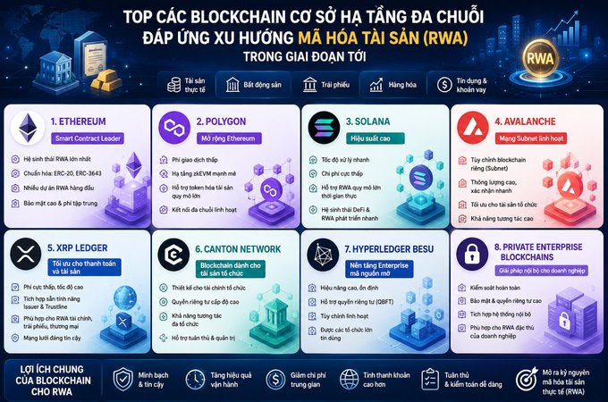 An infographic in Vietnamese titled 'TOP CÁC BLOCKCHAIN CƠ SỞ HẠ TẦNG ĐA CHUỖI ĐÁP ỨNG XU HƯỚNG MÃ HÓA TÀI SẢN (RWA)' listing 8 blockchains including Ethereum, Polygon, Solana, and Avalanche.