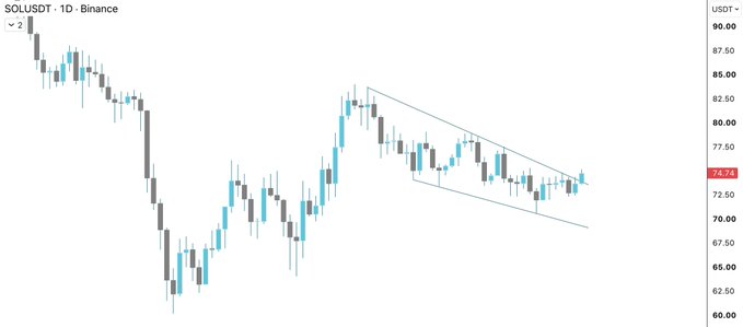 This is a 1-day candlestick chart for SOLUSDT on Binance, depicting a price movement that bottomed near 65.00, rallied to 85.00, and is currently consolidating within a descending channel, with the current price highlighted at 74.74.