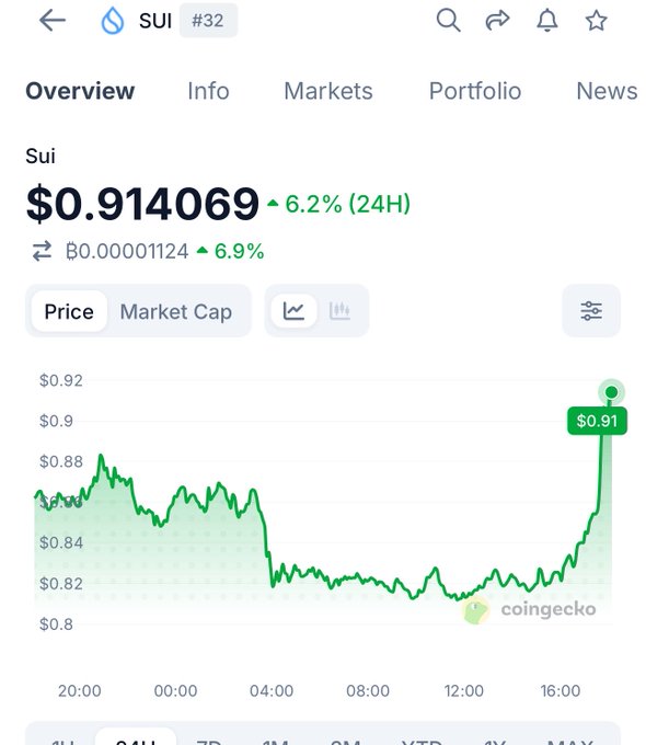 A CoinGecko overview page for Sui (SUI) cryptocurrency shows the price at $0.914069, up 6.2% in the last 24 hours, with the chart displaying a sharp upward spike near the end of the timeframe to reach $0.91, matching the celebratory "$SUIIIIIIIIIIIIIIIII" post about the price surge.