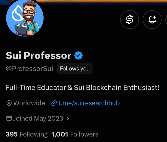 A Twitter profile for 'Sui Professor' (@ProfessorSui) shows a cartoon avatar of a man with a book and water drop, describing them as a 'Full-Time Educator & Sui Blockchain Enthusiast' with 1,001 followers.