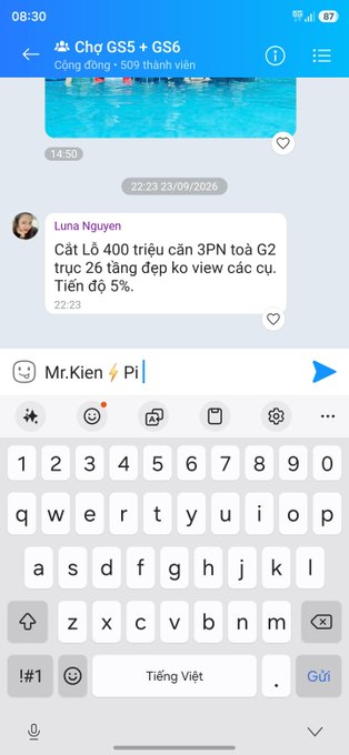 A Vietnamese Telegram chat titled "Chợ GS5 + GS6" showing a message from Luna Nguyen about G2 G2 trading with a 5% discount, with someone typing "Pi" in the message field.