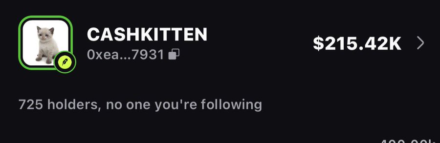 A dark-themed crypto token profile screen shows 'CASHKITTEN' with the address '0xea...7931', a kitten profile picture, a market cap of $215.42K, and 725 holders.