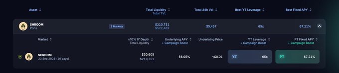 A dark-themed dashboard displaying trading metrics for SHROOM token, showing Total Liquidity of $210,751 / $322,492, 24h Vol of $5,457, Best YT Leverage of 65x, and Best Fixed APY of 87.21%, with market data including +10% 1Y Depth of $30,605 and underlying price of <$0.01.