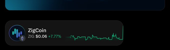 The image shows a close-up of an app, with an overlay screen displaying the ZigCoin logo, indicating that the chat is open about cryptocurrency matters. The screen also indicates a decline in the ZIGcoin rally's value, which could be related to the conversation taking place or recent events involving cryptocurrencies and exchanges like MtGibson. However, it's not clear if the image is relevant to the post or if it serves as just background information for viewing the chat's content.