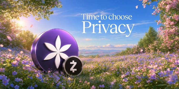 The image features a sunny meadow scene with blooming wildflowers, cherry blossoms, and a mountainous backdrop, prominently displaying two purple and black tokens—a larger one with a white flower-like emblem and a smaller one marked with "Ƶ" (the symbol for Zcash)—alongside the text "Time to choose Privacy."

The serene, privacy-themed imagery visually reinforces the post's message about introducing ZEC (Zcash), a privacy-focused token offering price market exposure and 3% APY compounding yields.