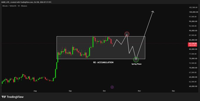 A Bitcoin (BTC) TradingView daily chart dated October 8, 2024, shows a "RE-ACCUMULATION" range between roughly $73,000 and $85,000, with a hand-drawn projection indicating a "Spring Phase" dip followed by a breakout toward $100,000. The annotated Q4 outlook suggests BTC will complete its Wyckoff-style accumulation pattern and rally to six figures by year-end.
