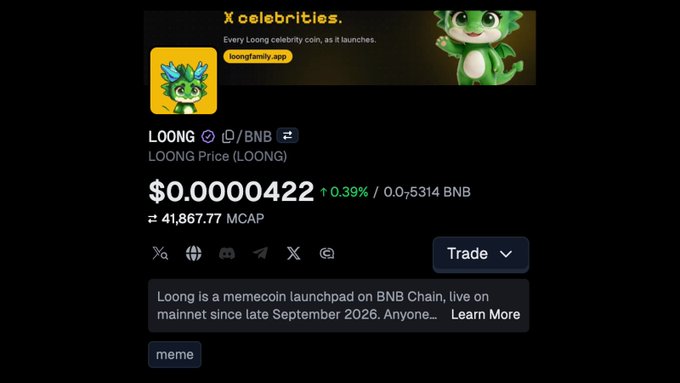 A cryptocurrency listing page displays the LOONG token priced at $0.0000422, with text reading 'LOONG Price (LOONG)', 'meme', and describing it as 'a memecoin launchpad on BNB Chain'.