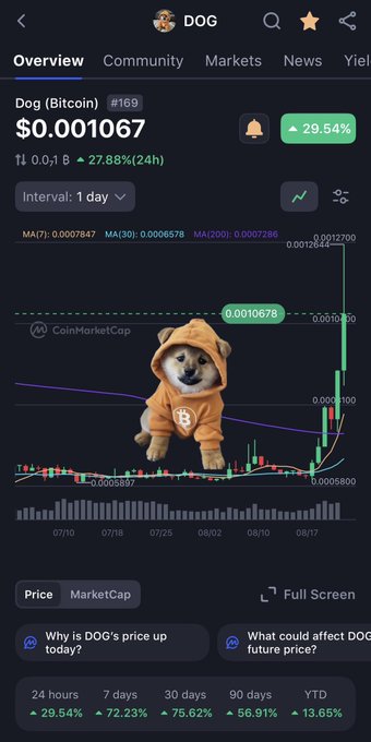 A cryptocurrency price tracker showing Dog (Bitcoin) DOG #169 at $0.001067 with a 29.54% gain, featuring a dog in an orange Bitcoin hoodie mascot.