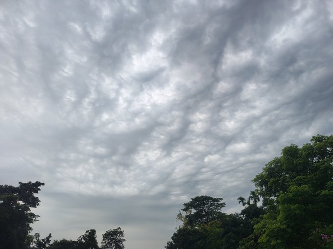 The image shows a cloudy sky with trees below, suggesting an overcast day. The clouds appear to be dark gray or black, indicating that they are likely low-hanging and possibly stormy. Given this information, it can be inferred that at least one of these clouds might lead to the formation of a storm system as it ascends into the atmosphere.

The post seems to be discussing the possibility of an approaching storm system based on the cloudy sky and trees below. The image does not provide enough context or details about the specific location, but it is clear that the team building hands down is concerned about the potential impact of the storm system as it moves in.