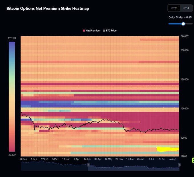 A Bitcoin Options Net Premium Strike Heatmap showing strike prices from ~$17,869 to $224,569 across dates from January to August, with the BTC price line trending downward from above $100K to around $60K.