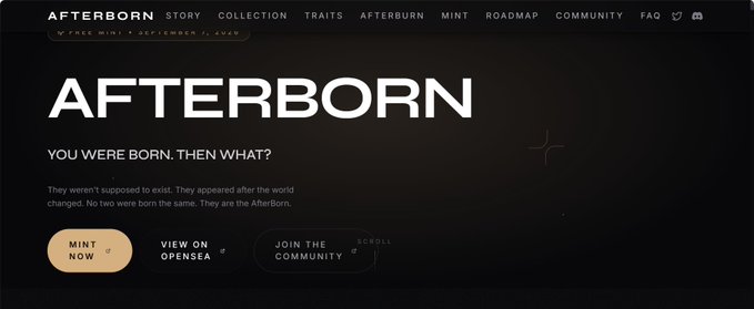 A website header for 'AFTERBORN' featuring the tagline 'YOU WERE BORN, THEN WHAT?' and a navigation menu with options like 'STORY', 'COLLECTION', and 'MINT'.