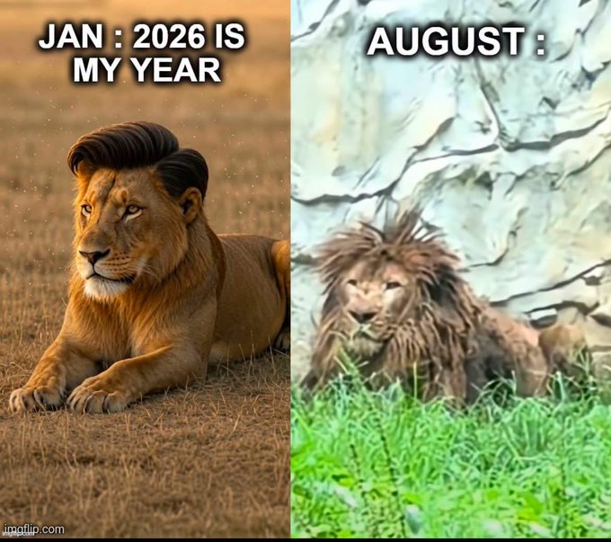 This meme shows a lion with a slicked hairstyle in January 2026, contrasting with a messy-haired lion in August, humorously depicting the impact of time and perhaps the summer heat. The flamingo emoji suggests a lighthearted, maybe even absurd, take on this transformation.