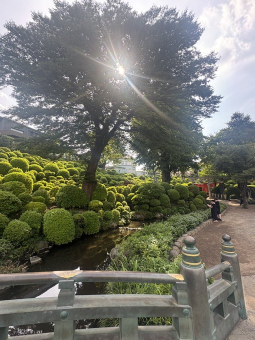 A serene Japanese garden with manicured topiary shrubs, a tranquil pond, and sunlight filtering through tall trees, viewed from behind a traditional stone-railed bridge. The peaceful scene ties to the caption's message of being in Japan and calmly watching the markets from afar—"not missing much" reflects the still, undisturbed atmosphere of the garden.