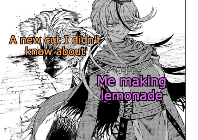 A black and white manga-style illustration of two characters with text labels: 'A new cut I didn't know about' (orange) on the left character and 'Me making lemonade' (pink) on the right character.
