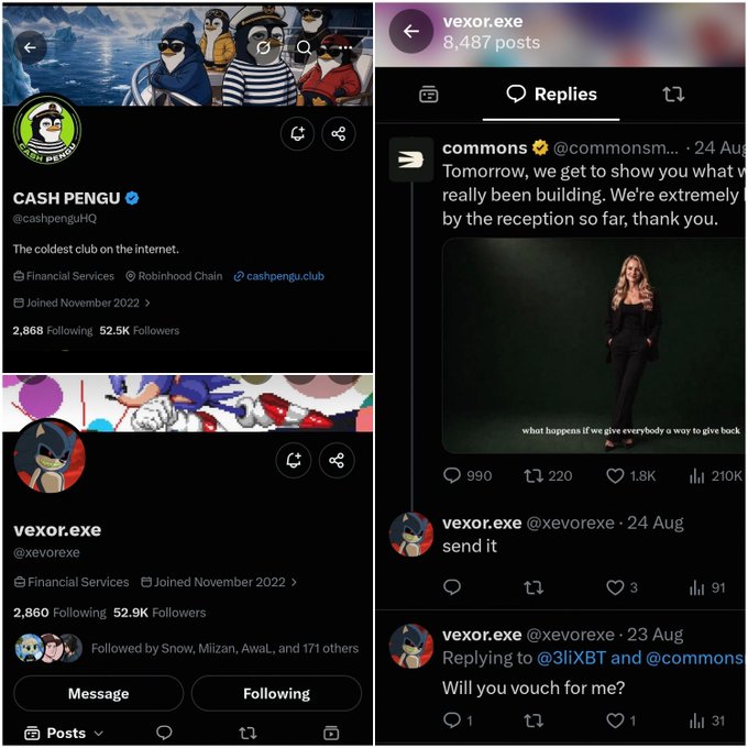A screenshot of Twitter/X profiles for 'CASH PENGU' (@cashpenguHQ) and 'vexor.exe' (@xevorexe), along with replies discussing a project by '@commonsm'.