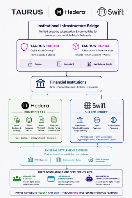 An infographic showing the infrastructure bridge between Taurus, Hedera, and Swift, detailing institutional custody, tokenization, and connectivity for financial institutions across blockchain rails.