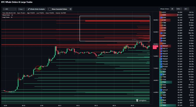 A BTC trading chart displaying "BTC Whale Orders & Large Trades" on the 1-hour timeframe shows current price action near $78,888.3, with stacked red sell walls above $80K and dense green bid liquidity between $76K–$78K, visually confirming the post's observation about key support and resistance zones.