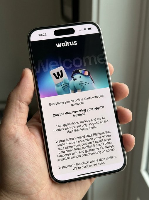 The image shows a person holding up their phone displaying a welcome message from Walrus. The person's hand is visible above the phone, while the screen of the phone is seen below them. The text displayed on the phone reads "Welcome" followed by an email address or website where one can find more information about the app.