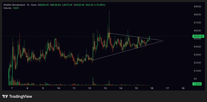 A TradingView 1-hour candlestick chart of "Wildlife Wonderland" (ticker $WW/fomo) shows price action around $530.4K (+10.46%) with volume at 1.82K, featuring a symmetrical triangle pattern converging near the $500K level that suggests an impending breakout.