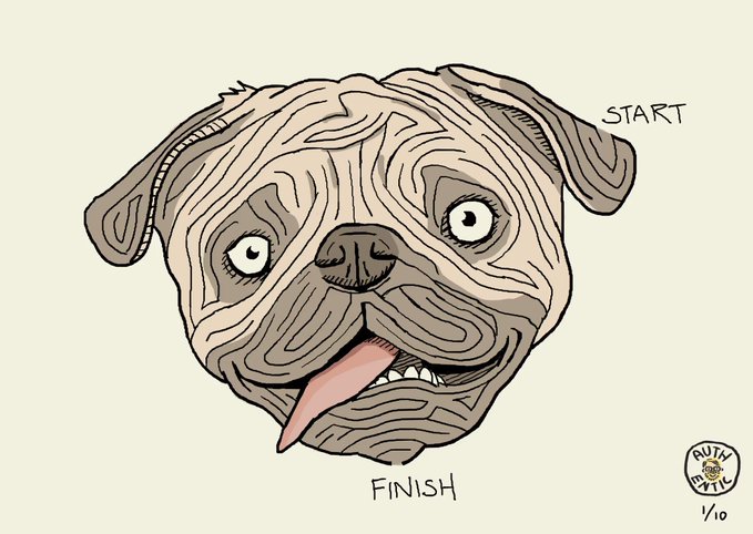 An illustration of a pug dog's face rendered as a wooden maze with 'START' and 'FINISH' labels, created by 'RUTH IN THE WDL 1/10'.