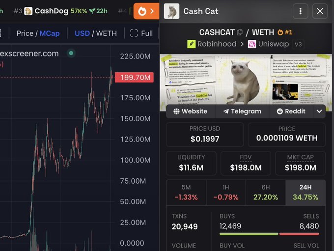 A Dexscreener chart shows CashCat (CASHCAT/WETH) ranked #1 with a market cap of $198M and a price of $0.1997, paired with a Robinhood/UniSwap trading page featuring a white cat meme image. The screenshot supports the post's claim of a CashCat token airdrop giveaway by displaying the token's impressive market metrics as social proof of its legitimacy.