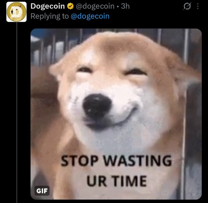 The image features a brown dog with a white nose and eyes, sitting next to a cage or behind bars. The caption of the image reads "Stop wasting ur time", which seems to be a reference to the Dogecoin meme created by someone named @Dogecoin.