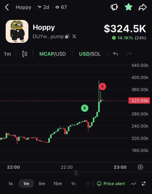 A cryptocurrency trading chart showing the token 'Hoppy' (DUYw...pump on pump.fun) with a market cap of $324.5K, up 14.1% in 24 hours, displaying a 1-minute candle chart with buy (B) and sell (S) signals against USD/SOL.