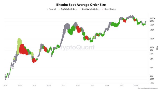 A chart titled 'Bitcoin: Spot Average Order Size' from CryptoQuant showing order categories (Normal, Big Whale Orders, Small Whale Orders, Retail Orders) plotted against Bitcoin price from 2017 to 2026.