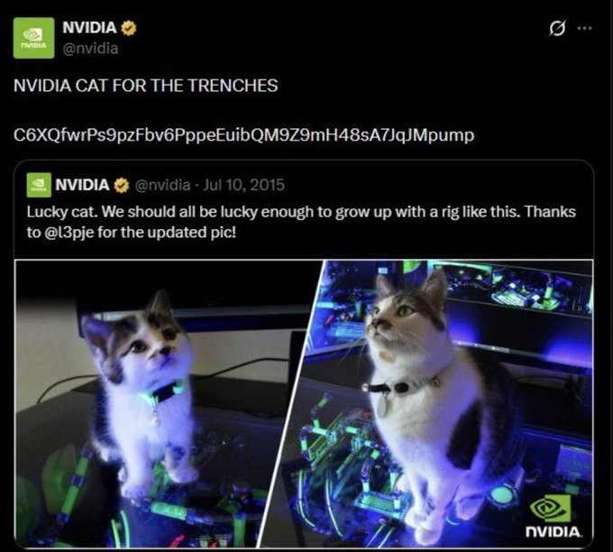 An NVIDIA social media post titled "NVIDIA CAT FOR THE TRENCHES" features two side-by-side photos of cats wearing collars while sitting on illuminated PC hardware, with a 2015 tweet caption describing it as a "Lucky cat" growing up with a gaming rig.