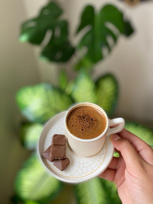 A hand holds a small espresso cup of frothy Turkish-style coffee alongside pieces of chocolate on a white saucer, with lush green Monstera plant leaves blurred in the background—pairing a cozy morning ritual with the post's "GM Friends, Can I Get GM Back?" greeting to energize the day's start.