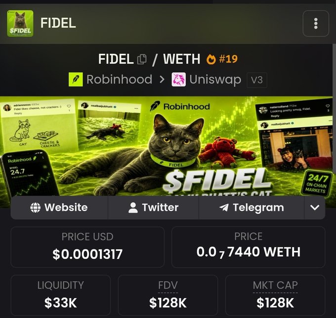 A cryptocurrency token page for $FIDEL featuring a cat-themed meme coin listing on Uniswap V3 with Robinhood branding.