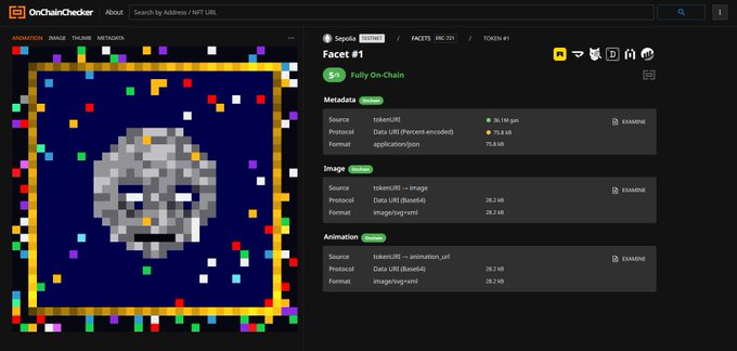 A screenshot from OnChainChecker showing 'Facets #1' by Sepolia, marked as 'Fully On-Chain' with metadata, image, and animation sections displayed alongside a pixelated skull image.