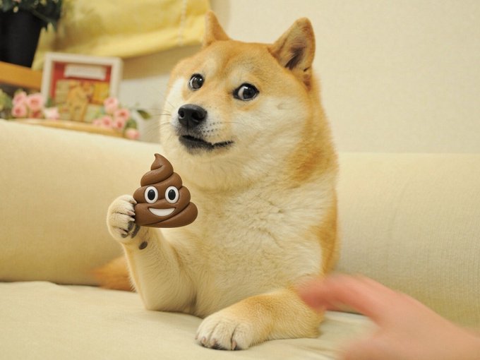 A Shiba Inu dog sitting on a beige couch holds up its paw as if presenting a cartoonish brown poop emoji sticker, with a human hand reaching toward it from the right.
