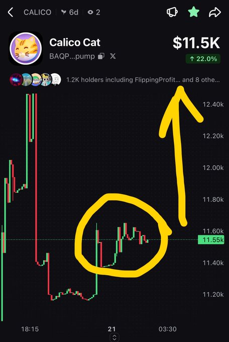 A trading chart screenshot for the 'Calico' token shows a price of $11.5K with a 22.0% increase, featuring a yellow hand-drawn circle highlighting a consolidation pattern and an upward arrow pointing to a breakout.