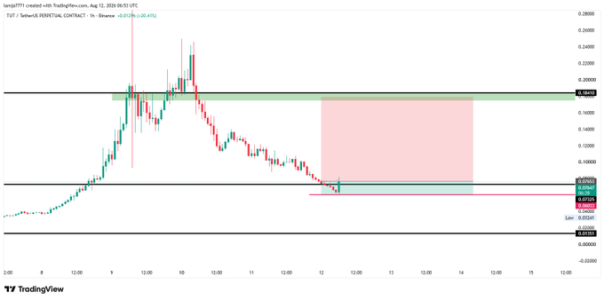 The image is a TradingView chart of TUT/USDT Perpetual Contract on Binance (1h timeframe, dated Aug 12, 2024), showing a recent price spike to ~$0.25 followed by a sharp pullback toward a support zone around $0.07-0.08, with a red shaded area likely indicating a liquidity or short-interest zone. This visualizes the post's warning about $TUT being a potential "scam pump" with high risk, as the chart shows classic pump-and-dump price action after the rapid run-up.