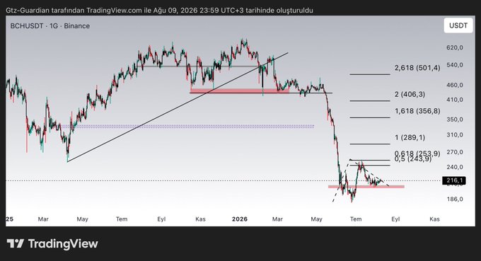 A TradingView daily chart of BCHUSDT on Binance showing Bitcoin Cash's decline to $216.1 with Fibonacci retracement levels (0.618 at 253.9, 0.5 at 243.9), highlighting a recent price dip that the post suggests presents a buying opportunity ahead of an anticipated rally.