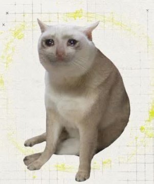 A light-colored cat sits against a gridded background with yellow accents, likely serving as a visual representation of the $CASHCAT token mascot referenced in the post. The post describes a trader who swapped 0.04 ETH ($68) for 20 million $CASHCAT tokens, only to sell for $711—a 10x profit that still meant missing out on a potential $3.3 million gain.