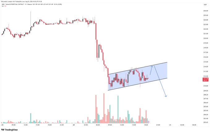 This image shows a TradingView chart of the Nebius (NBIS) perpetual contract, displaying price action that has formed a bearish flag pattern (highlighted in blue) following a sharp decline, with the current price around 211.40. The chart illustrates the post's analysis of a potential bear flag continuation that could test resistance at 214-215 before falling toward 209-210, with a break below 208 potentially targeting 202 and 195.