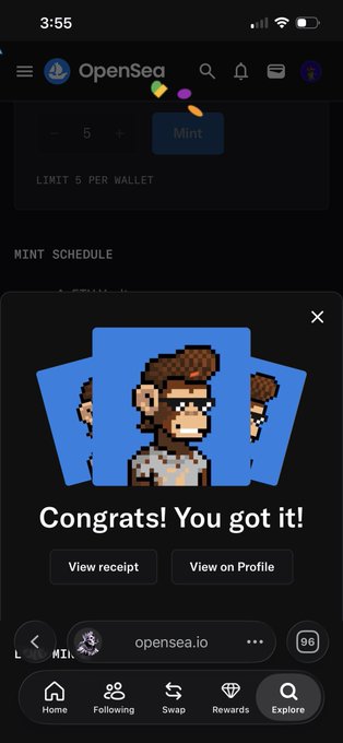 A mobile screenshot of OpenSea showing a successful NFT mint with the message "Congrats! You got it!" featuring a pixelated character NFT, with options to view receipt or view on profile.