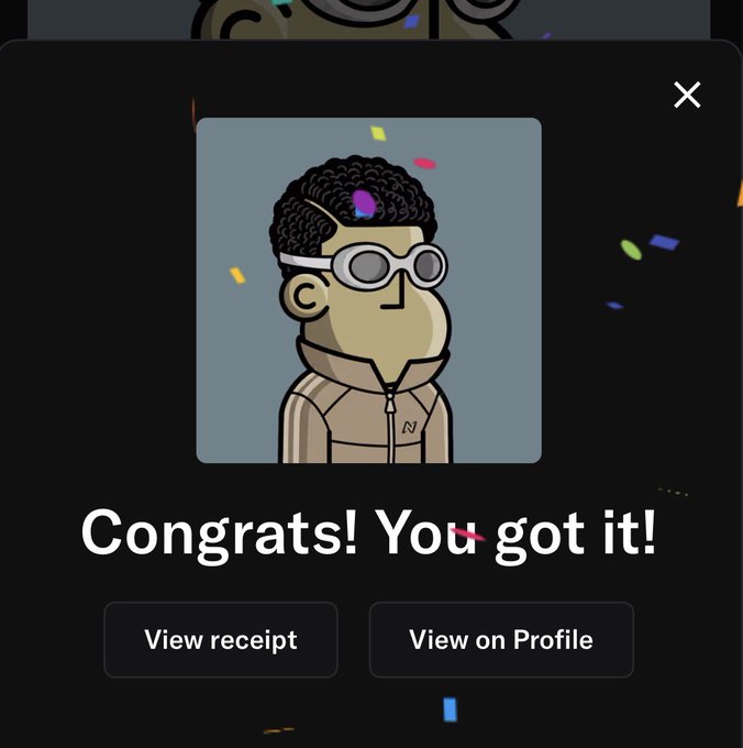 A digital interface displays a cartoon avatar wearing white goggles and a tan jacket with an 'N' logo, accompanied by the text 'Congrats! You got it!' and buttons to 'View receipt' or 'View on Profile'.