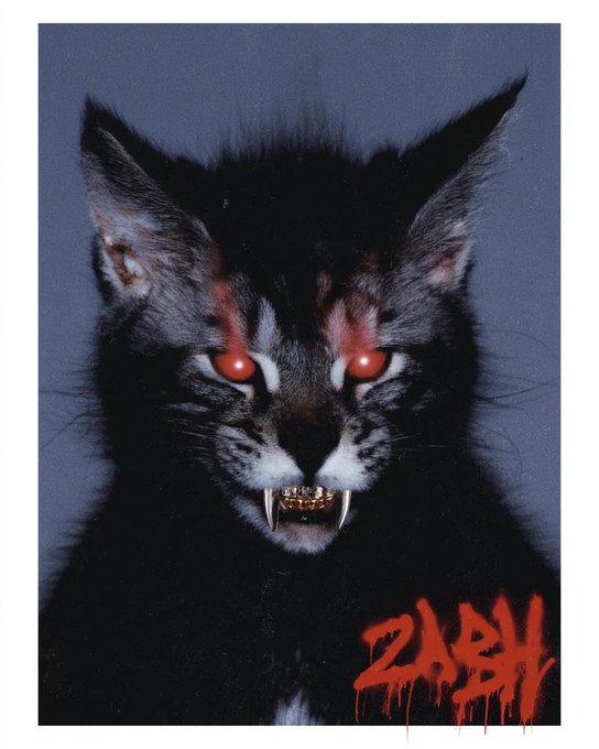 A menacing close-up of a black cat with glowing red eyes, bared fangs, and what appears to be gold teeth, with the red text 'ZABY' in the bottom right corner.