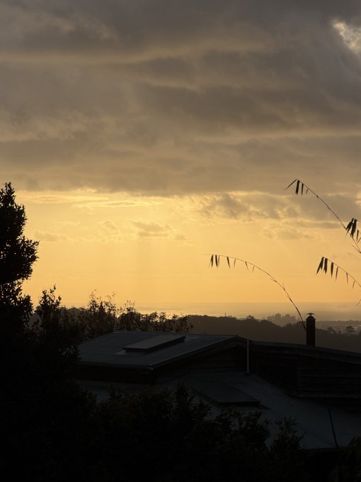 A sunset scene with golden light filtering through cloudy skies, illuminating silhouettes of building rooftops, trees, and grass in the foreground.