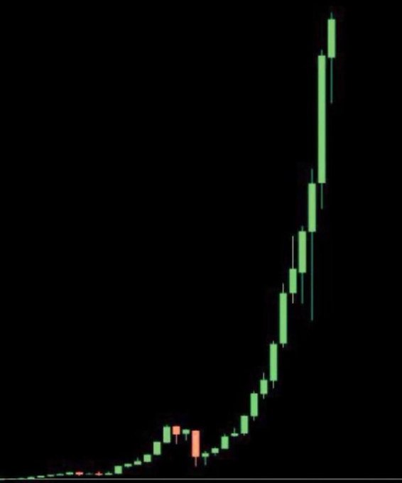 A candlestick chart displayed on a black background shows a parabolic price ascent, with green bullish candles sharply climbing upward alongside two visible red bearish candles near the base—visually illustrating the explosive meme coin gains cited in the post ($CATE 728x, $ANSEM 819x, $JIMOTHY 581x) and teasing an upcoming runner about to "take off."