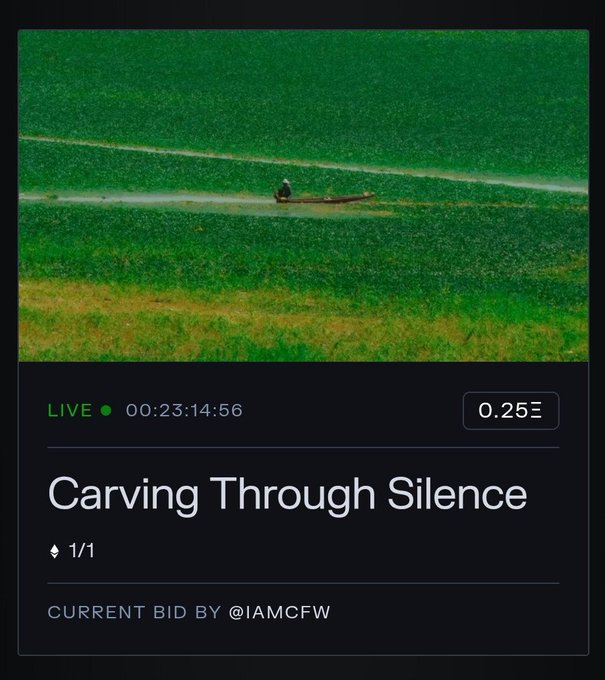 An NFT auction page titled 'Carving Through Silence' showing a live aerial view of a person in a green field, with a current bid of 0.25 ETH by @IAMCFW and 23:14:56 remaining.