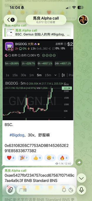 The image shows a Telegram channel called "馬良 Alpha call" (Maliang Alpha call) sharing a crypto trade alert for the token "BIGDOG" on BSC, displaying a price chart with a 221.9K peak and contract address information, claiming returns of 30x. This promotional screenshot supports the accompanying post's claim that group posts (like this Telegram channel call) yield up to 30x returns, advertised via the t.me/Malianga link.