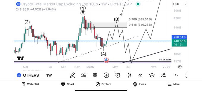 A weekly TradingView chart of Crypto Total Market Cap Excluding Top 10 (CRYPTOCAP), currently at 248.86B USD (+4.02B, +1.64%), showing candlestick patterns, Elliott wave labels (1, 3, 5, A, B), Fibonacci levels at 0.786 (385.51B) and 0.618 (340.28B), with price projections into 2026.